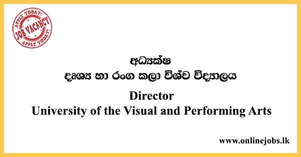 Director - University of the Visual and Performing Arts Job Vacancies 2024
