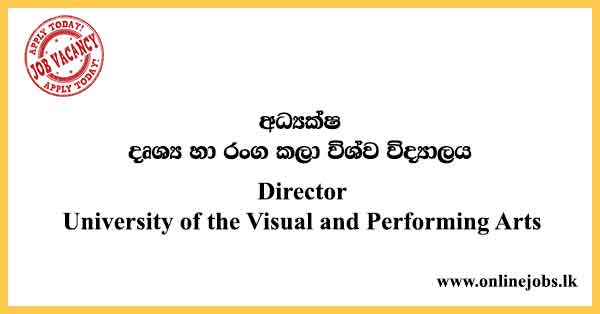 Director - University of the Visual and Performing Arts Job Vacancies 2024