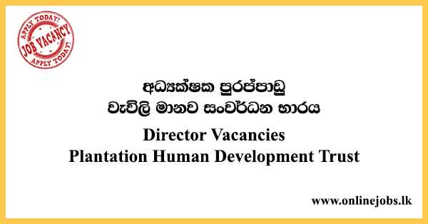 Director Vacancies Plantation Human Development Trust