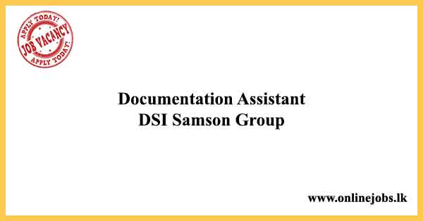 Documentation Assistant - DSI Samson Group Vacancies 2024