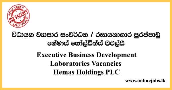Executive Business Development