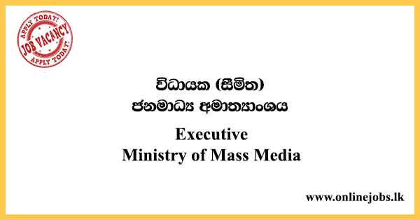 Executive - Ministry of Mass Media Vacancies 2024