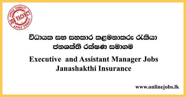 Executive and Assistant Manager Jobs