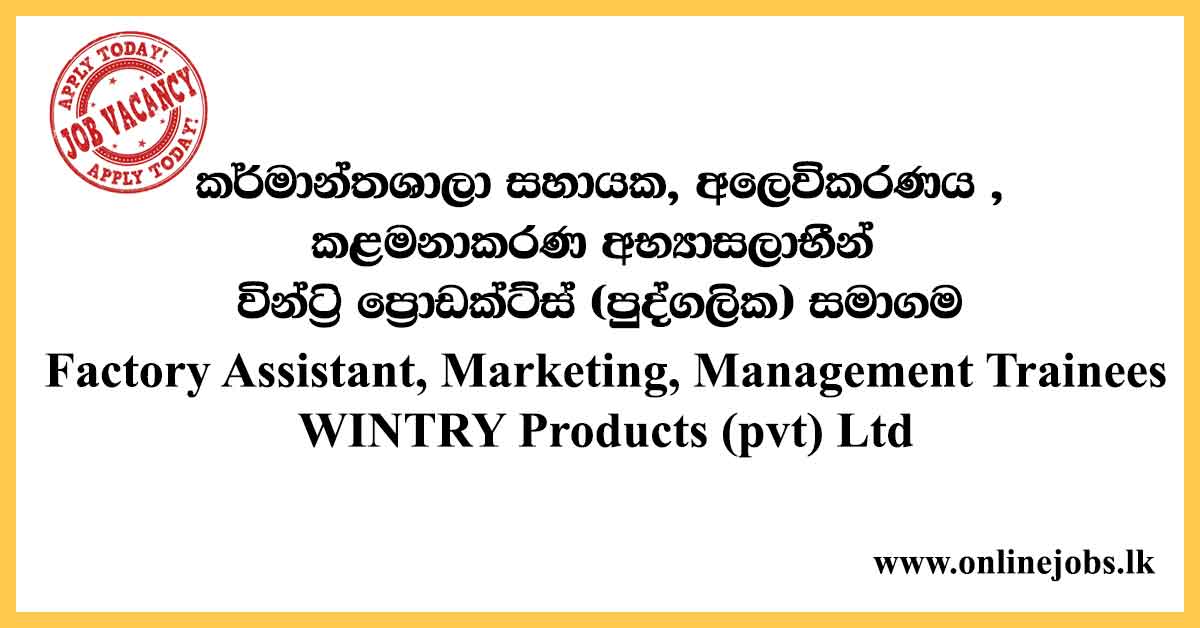 Factory Assistant, Marketing, Management Trainees - WINTRY Products (pvt) Ltd