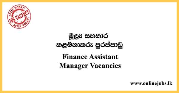 Finance Assistant Manager Vacancies