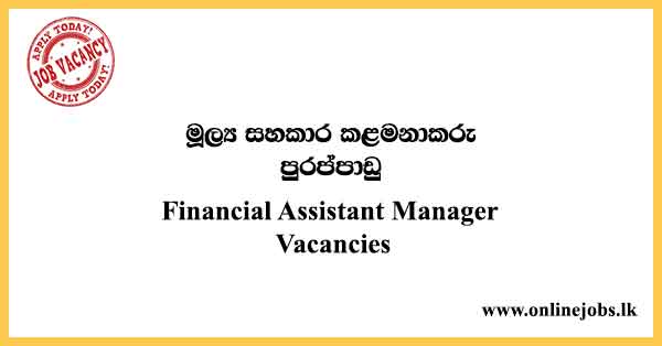 Financial Assistant Manager Vacancies