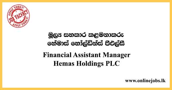 Financial Assistant Manager