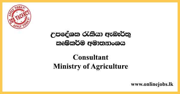 Government Consultant Vacancies 2024 - Ministry of Agriculture