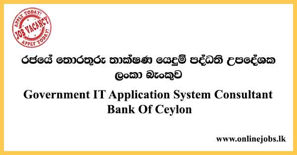 Government IT Application System Consultant