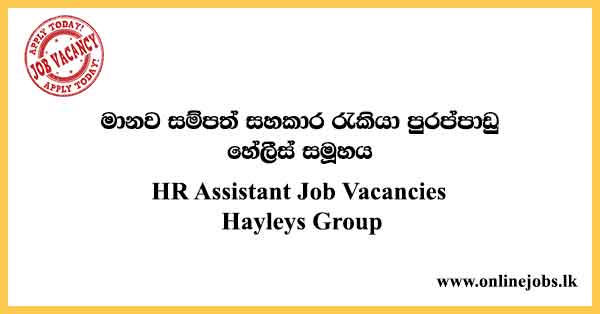 HR Assistant Job Vacancies Hayleys Group