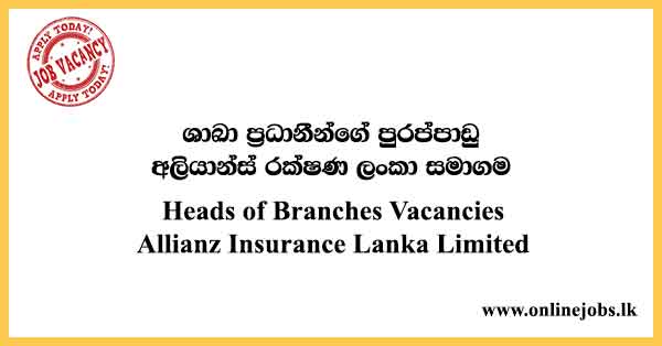 Heads of Branches Vacancies