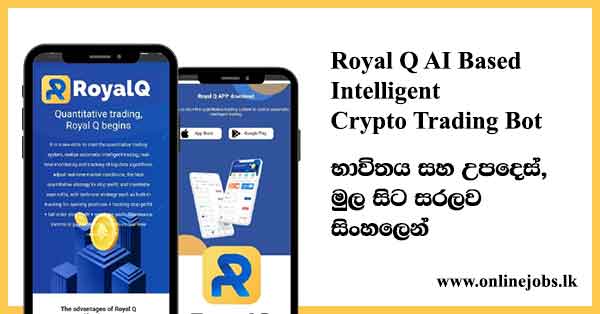 How to Trade with RoyalQ Bot and Earn Money Sinhala Guide