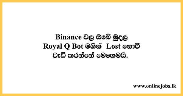 Guidance for Online jobs in Sri Lanka - How to earn from Binance with RoyalQ Bot