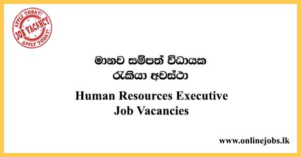 Human Resources Executive Job Vacancies