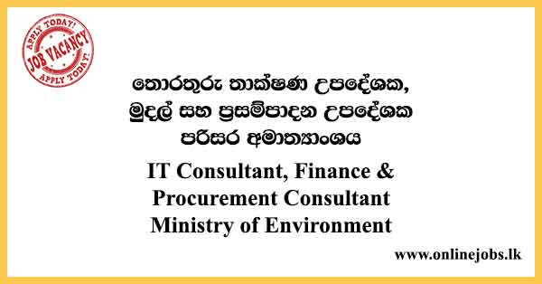 IT Consultant, Finance and Procurement Consultant - Ministry of Environment Vacancies 2023