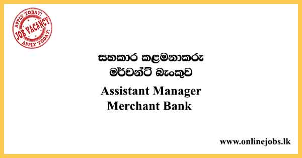 IT Governance & Administration Assistant Manager - Merchant Bank Vacancies 2024