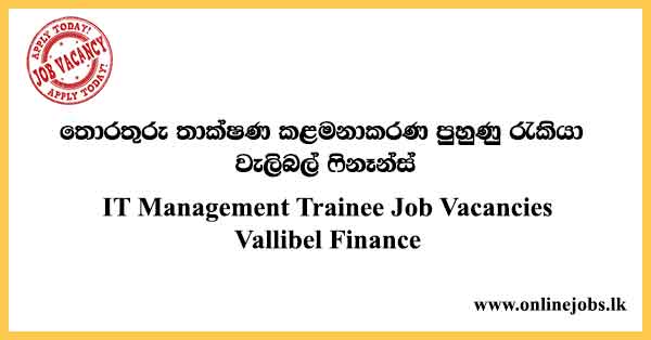 IT Management Trainee Job Vacancies