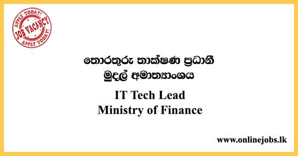 IT Tech Lead - Ministry of Finance Vacancies 2023