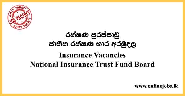 Insurance Vacancies - National Insurance Trust Fund Board Job Vacancies 2024