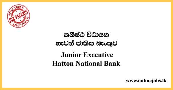Junior Executive