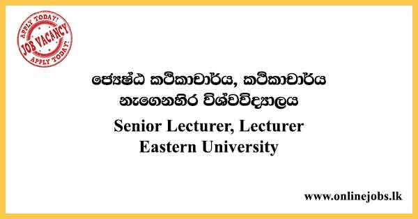 Lecturer, Senior Lecturer - South Eastern University Job in Sri Lanka 2024