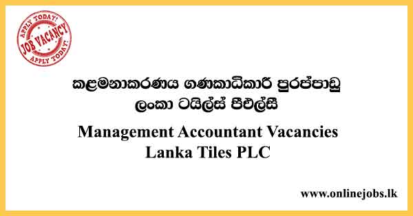 Management Accountant Vacancies