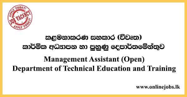 Management Assistant