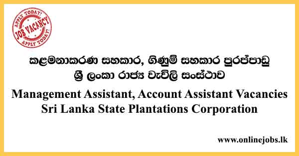Management Assistant, Account Assistant Vacancies Sri Lanka State Plantations Corporation