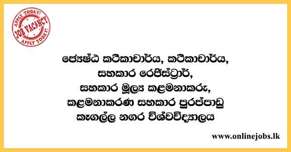 Management Assistant - City University of Kegalle Vacancies