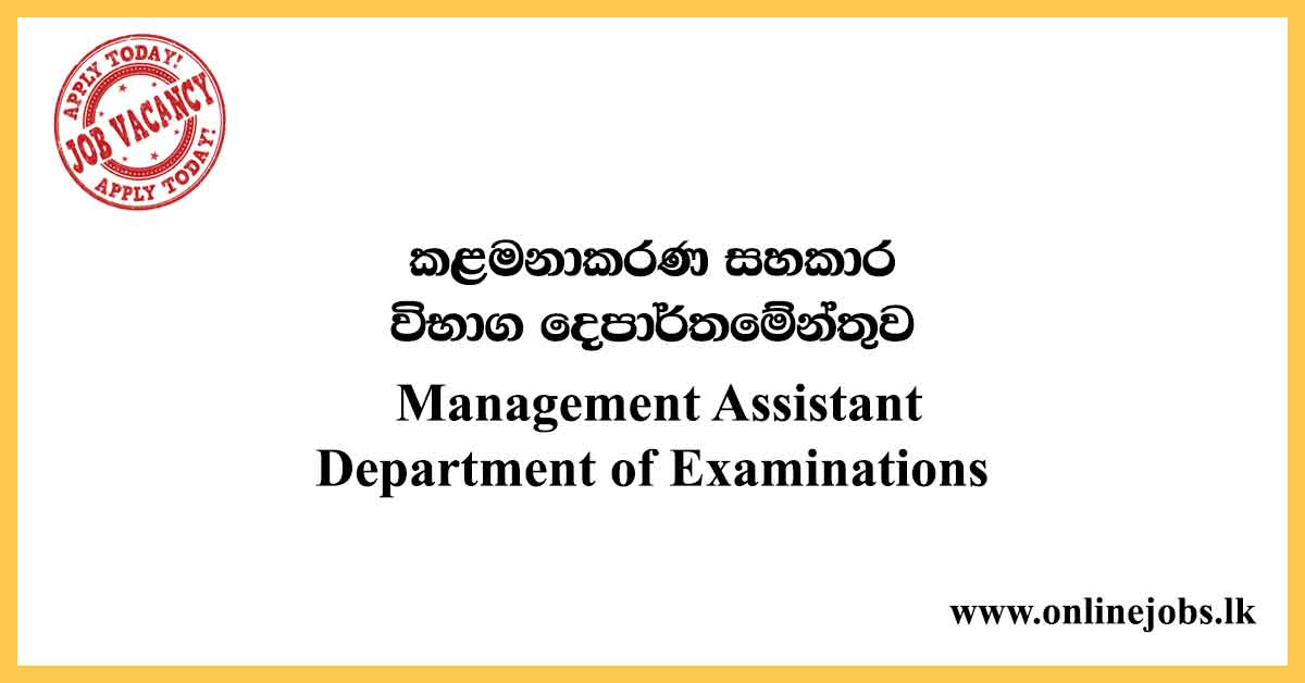 Management Assistant - Department of Examinations 2020