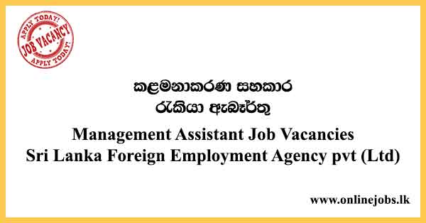 Management Assistant Job Vacancies Sri Lanka Foreign Employment Agency pvt (Ltd)