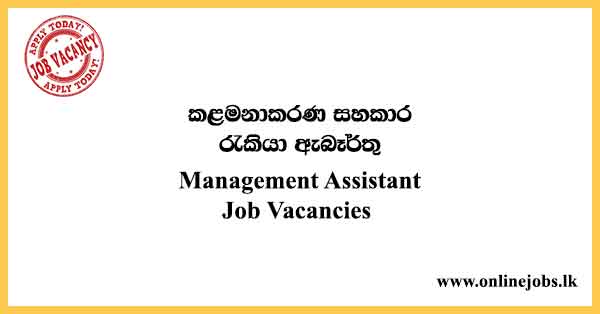 Management Assistant Job Vacancies