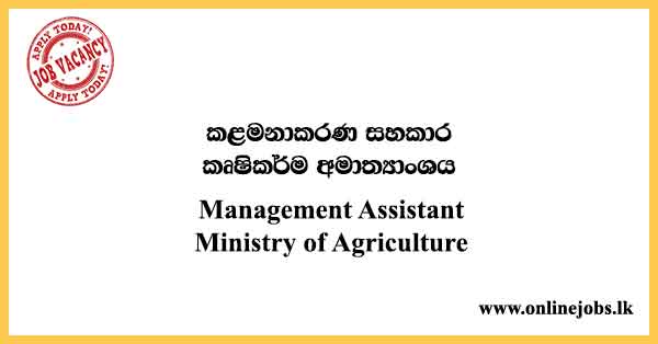 Management Assistant - Ministry of Agriculture Vacancies 2023