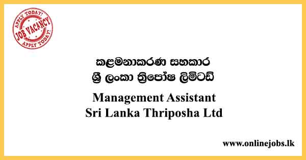 Management Assistant - Sri Lanka Thriposha Limited Jobs 2024