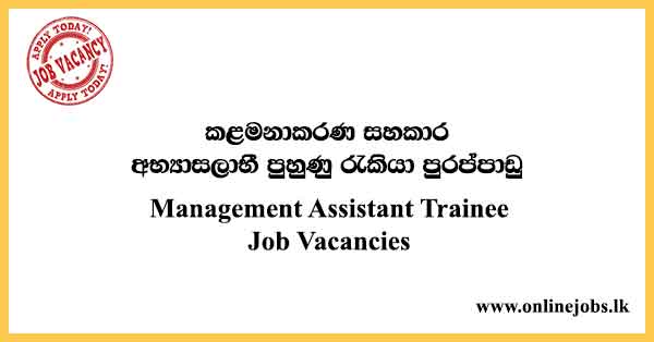 Management Assistant Trainee Job Vacancies