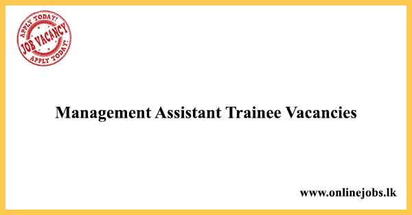 Management Assistant Trainee Vacancies in Sri Lanka - Adelanka (Pvt) Ltd