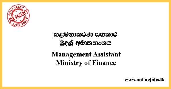 Management Assistant - Ministry of Finance