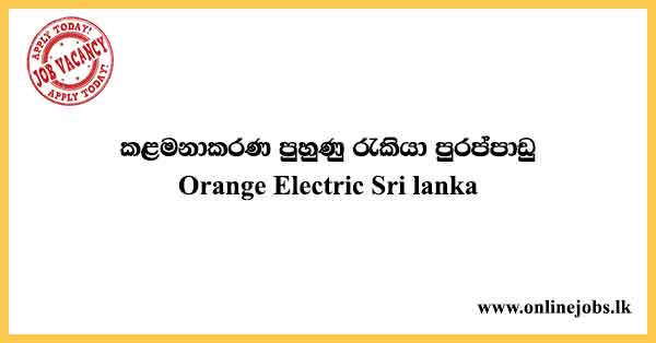 Management Trainee Job Vacancies 2023 in Sri Lanka - Orel Corporation Vacancies