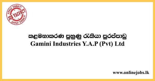 Management Trainee Job Vacancies 2023