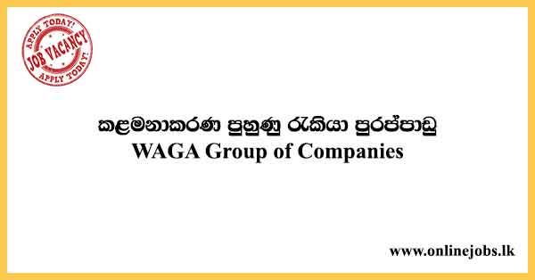 Management Trainee Job Vacancies in Sri Lanka