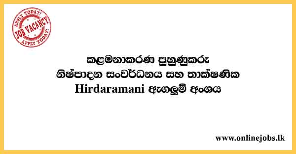 Management Trainee Vacancies 2023 in Sri Lanka