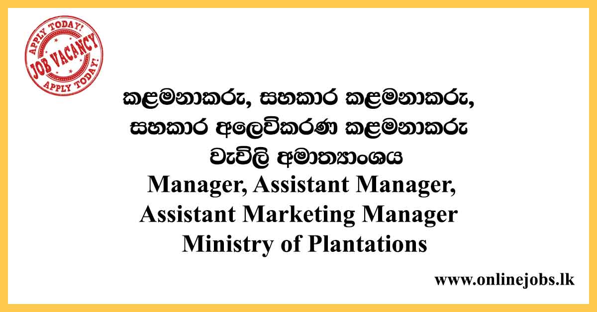 Manager, Assistant Manager, Assistant Marketing Manager - Ministry of Plantations Vacancies 2021