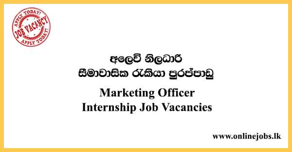 Marketing Officer Internship Job Vacancies