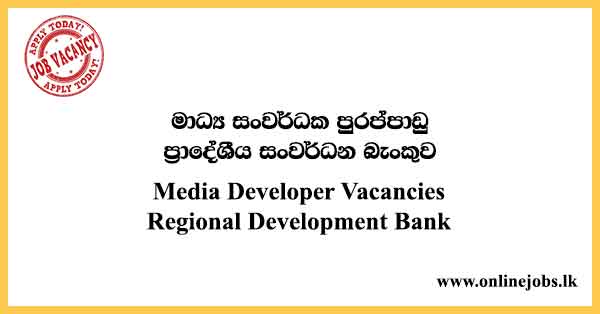 Media Developer Vacancies