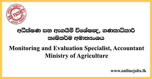 Monitoring and Evaluation Specialist, Accountant - Ministry of Agriculture Job Vacancies 2024