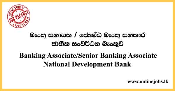Banking Associate/Senior Banking Associate - National Development Bank