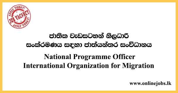 National Programme Officer - International Organization for Migration Vacancies