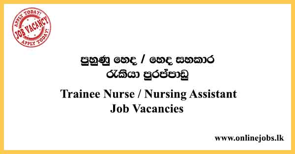 Trainee Nurse / Nursing Assistant Job Vacancies