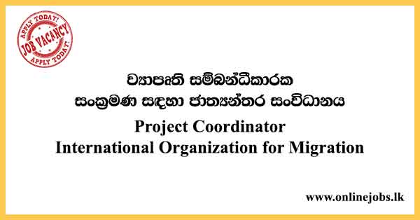 Government Project Coordinator Vacancies 2024 - International Organization for Migration