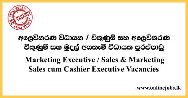 Sales cum Cashier Executive Vacancies